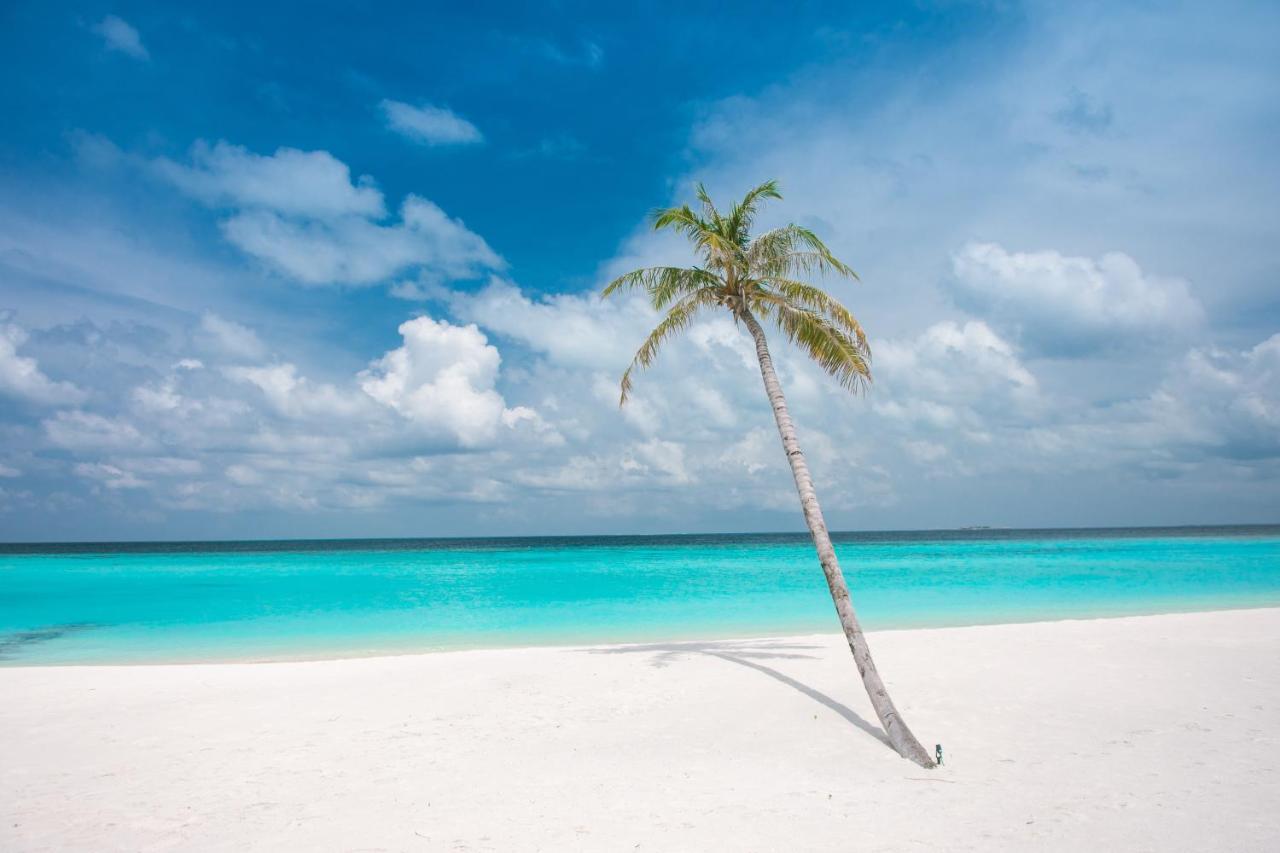 Brickwood Rasdhoo- Beach Front Dış mekan fotoğraf